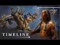 The Curse Of The Methuselah Tree | Oldest Tree On Earth | Timeline