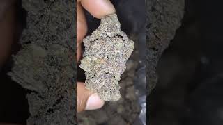 THCA Hemp Ban Coming Soon | Legal Touchdown Documented Before It’s Gone