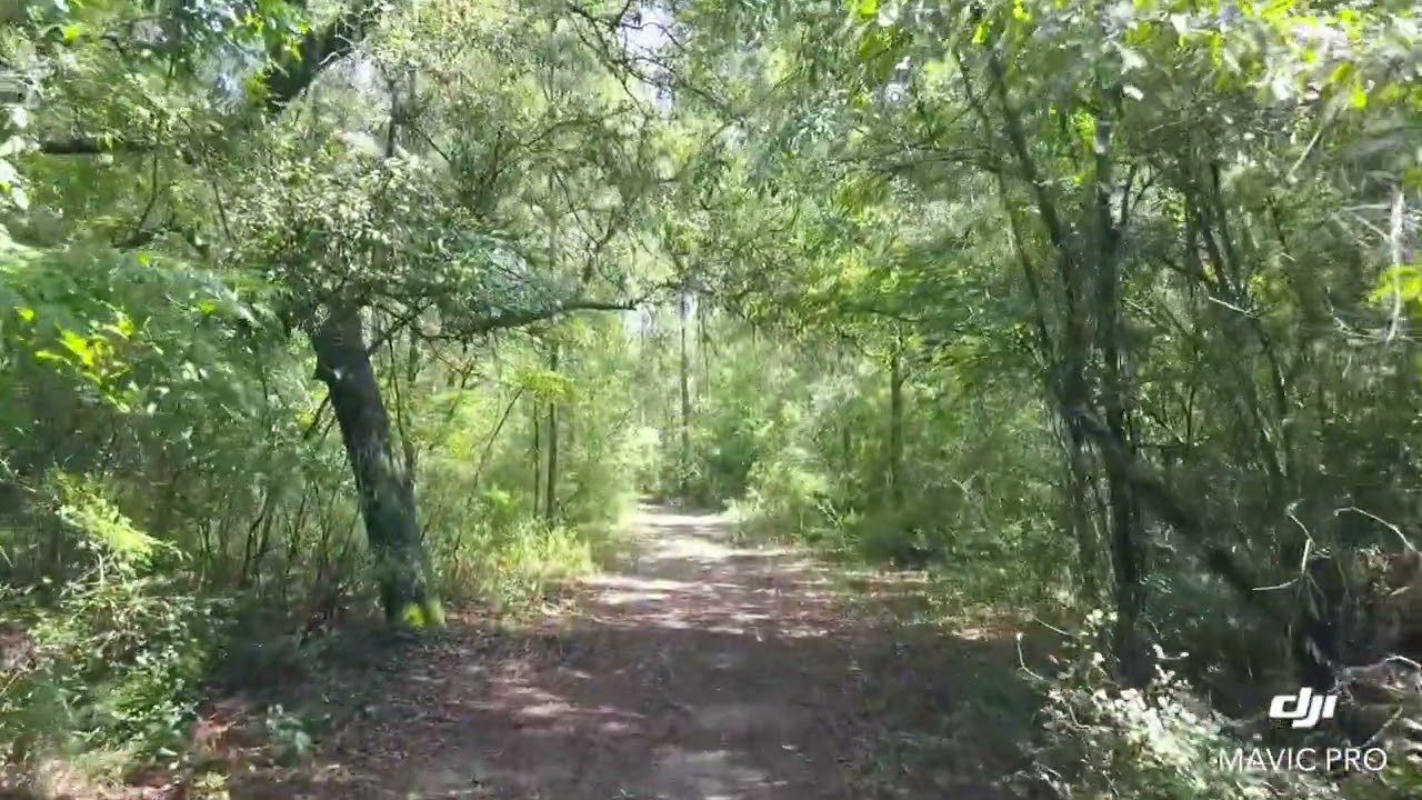 New Hope Church Road YouTube