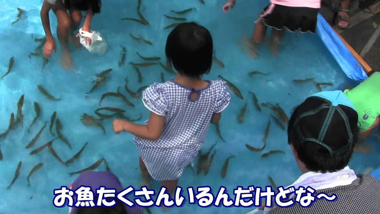 魚つかみ取り大会 Youtube