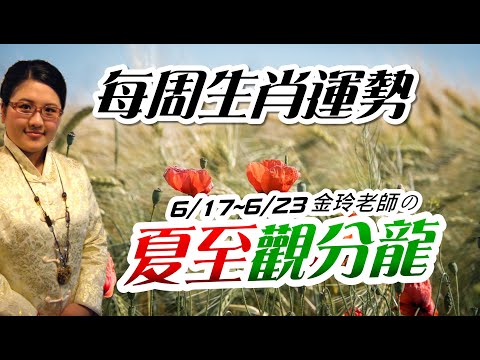 夏至開運。2024生肖運勢週報｜6/17-6/23｜金玲老師（有字幕）