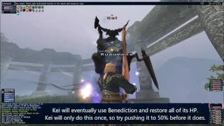 Final Fantasy XI - Kei: Strategy Guide (Tank Perspective)