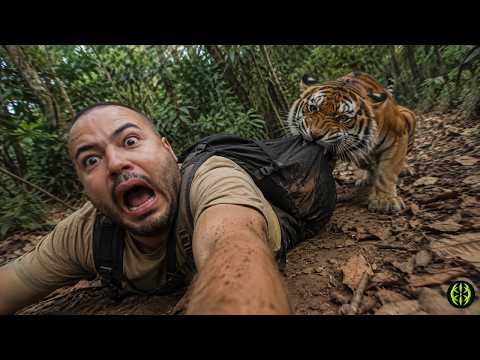Kalkaziano reage ao Peka Motrando Os Piores Encontros que Você Pode Ter com Animais