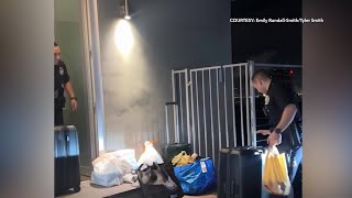 Squatters take over Hollywood Hills mansion to produce OnlyFans content