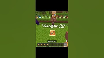 secret name tag in bugrock #minecraft