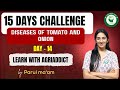Diseases Of Tomato and Onion Day 14 of 15 Days Challenge with Parul Ma'am