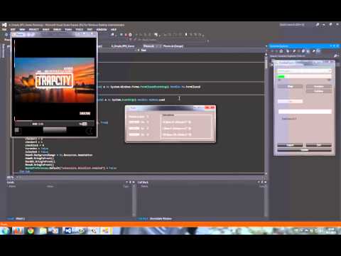 Combat Souls   Flash Player Implementation in VB