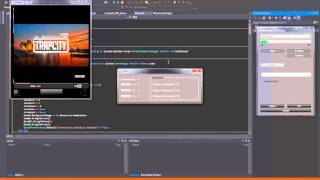 Combat Souls   Flash Player Implementation in VB