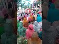 jai sai ji 🙏 bahr jana ,sai sodhi shah ji#darbarsahib #nakodardarbar#bulhe #peersaqibraza#com plz 🙏