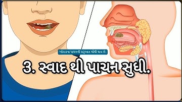 STD 5 EVS Chap 3 Svadathi pachan sudhi 3 સ્વાદ થી પાચન સુધી