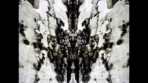 vsdot - disturbance of longing and faith (outtake2)