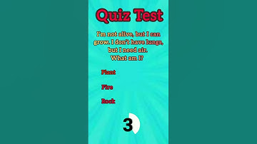 What belongs to you but is used more by others? #quiz #riddles #youtubeshorts #kids #ytshorts