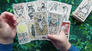 видео: Котячі Таро картинка: Котячі Таро