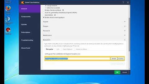 Avast! Exclusions