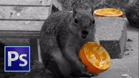 Adobe Photoshop CS6 Tutorial Color Splash Effect for Beginners