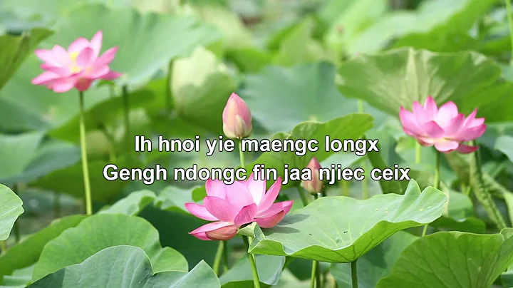 Mien song: Ih hnoi  maengc longx By Koy C Saephanh