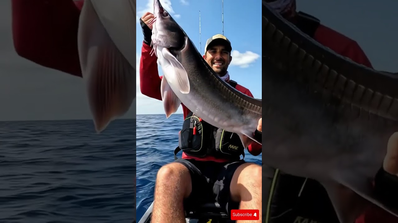 Hooked a Monster Fish! 🐟🌊 Unbelievable Ocean Catch!