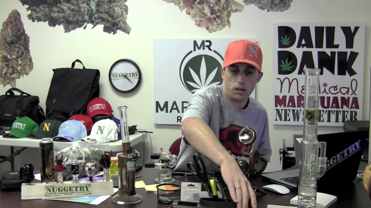 Chubbs Answers Some Pre 4th Of July Questions