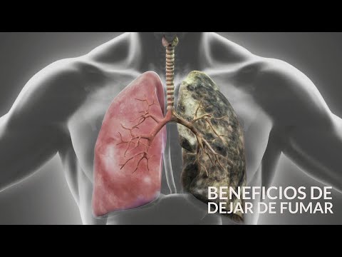 Vídeo: Qué Sucede Cuando Deja De Fumar: Una Línea De Tiempo De Los Efectos Sobre La Salud