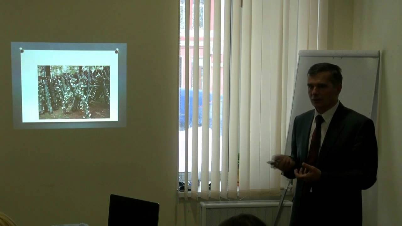 Трансфер Фактор Плюс (2 часть) - YouTube