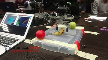 Professional Robots com - Computer Vision and Voice Commands for Robotic Arm