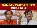 Sena-UBT vs Rebels: Sanjay Raut’s Controversial Remark Escalates Maharashtra War | India Today