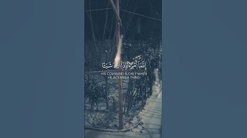 تلاوة قران كريم بصوت شيخ ماهر المعيقلي من سورة يس 🤍🌿