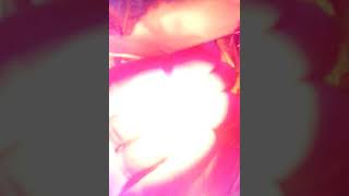 Axali Celi Modis 2018