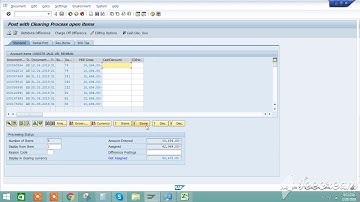 SAP - Clearing of Advances when there is no Debit Balance against Vendor