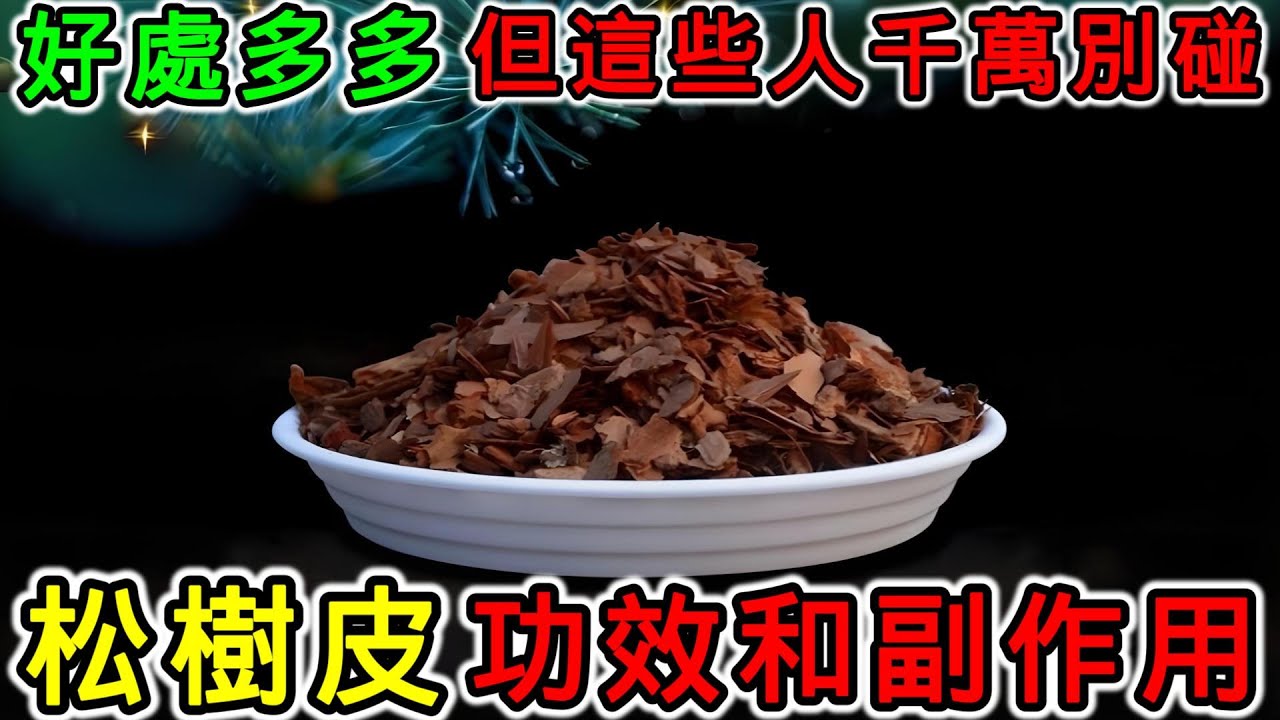 松樹皮是什麼？松樹皮的功效，松樹皮的副作用，松樹皮有毒嗎？松樹皮有什麼禁忌？松樹皮什麼時候吃最好？哪些人不能用松樹皮？松樹皮不能和什麼一起用 ...