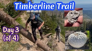 TIMBERLINE TRAIL - Day 3 of 4