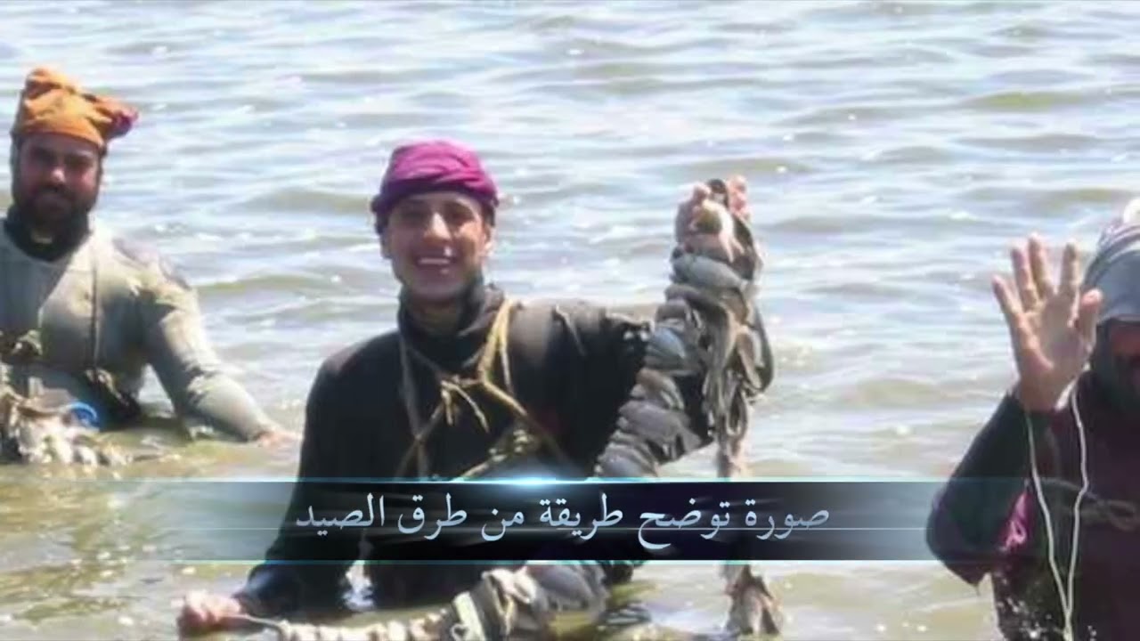 مدينه المطريه في محافظه الدقهليه ( المجتمع المحلي و فرقه البرامكة ) اخراج الباحثة/ مني عدلي هاشم