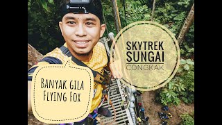 Skytrex Sungai Congkak | BANYAK GILA FLYING FOX!! | Skytrex Sungai Congkak | BANYAK GILA FLYING FOX!! |