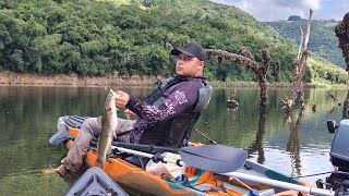 Acampamento e pescaria longe da civilização, mas o perigo nos cercava, muito peixe e jundiá de kg 😲🎣