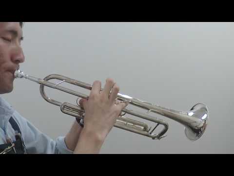 トランペットマウスピース吹き比べ】Bach 10 1 2C - YouTube