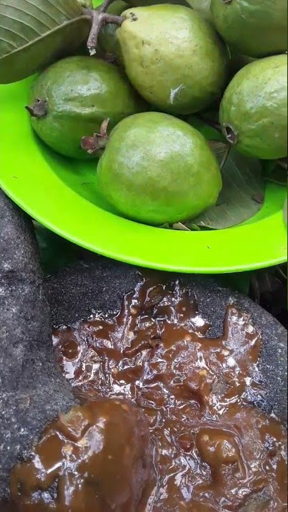 rujak jambu bikin ketagihan #shorts
