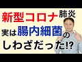 衝撃!新型コロナ肺炎は実は腸内細菌のしわざだった!?PCR検査で偽陰性(=本当は陽性なのに陰性判定)になる理由が判明!?【栄養チャンネル信長】