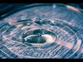 Ripples Effect for Elementor WordPress Websites | Sky Addons