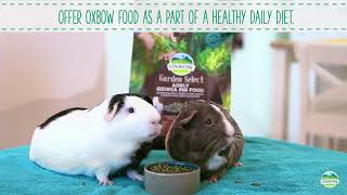 Garden Select Adult Rabbit Food - 25 Lb Reviews