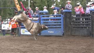 Dakota Louis rides Pink Panther for an 84.5 (PBR)