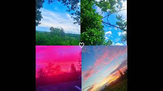 the Beauty of Mother Nature ✨🌸#beauty #photography #happiness #appreciation