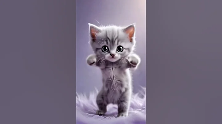 Video 10496121: cat kitty cutecat funny, cat kitty dance cute, cute small cat