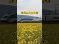 近鉄赤目口菜の花畑 Canola flower fields Japan railway 日本鉄道327