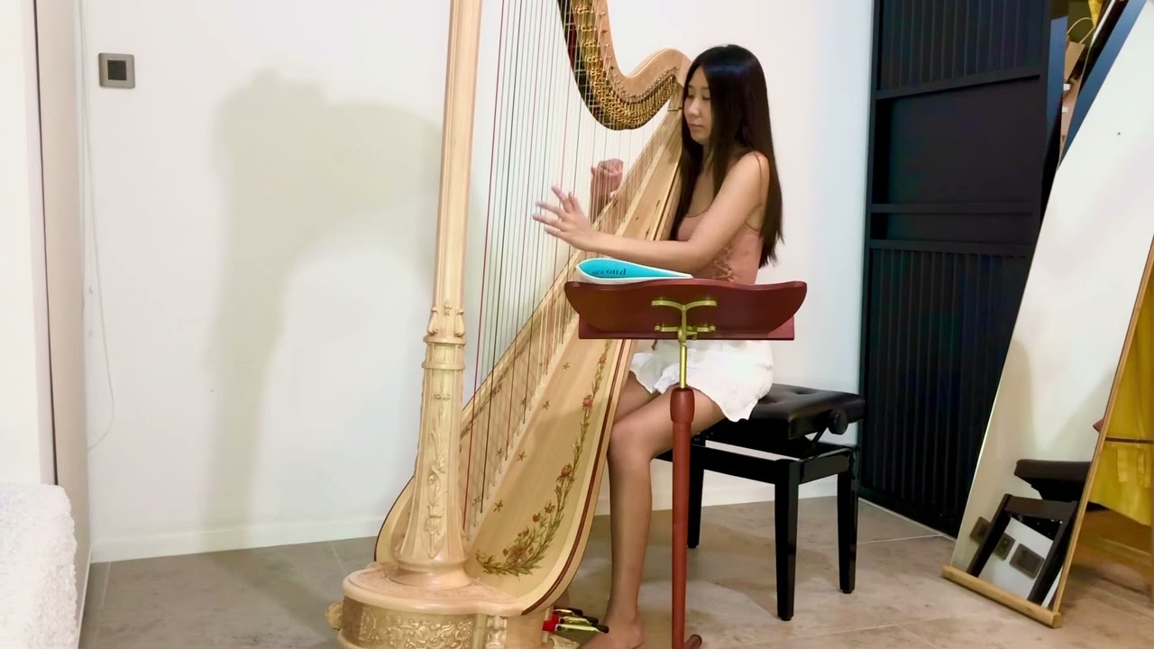 Muzio Clementi Sonatina Op.36 No.1 1st Movement - ABRSM