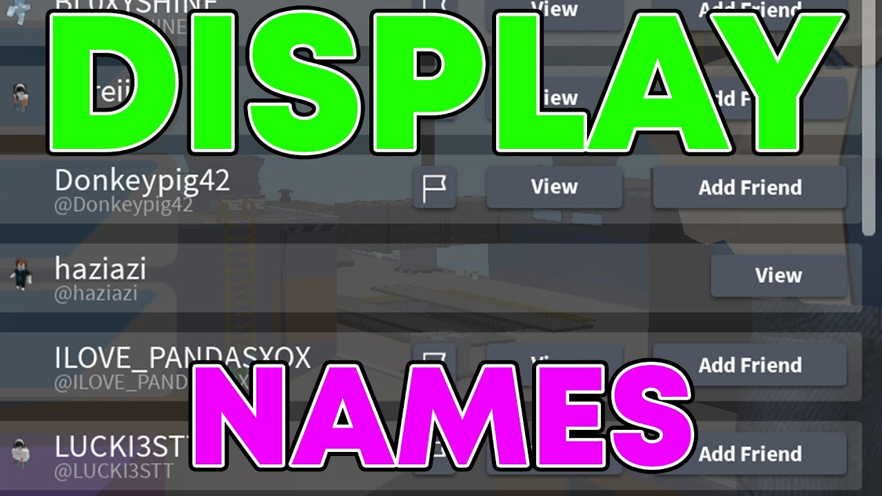 Roblox Display Name Ideas