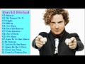 David Bisbal Grandes Exitos Enganchados | David Bisbal  Sus Mejores Éxitos | Completo 2017