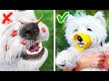 ¡Salva la nariz de tu perro! * Sorprendentes dispositivos y trucos para dueños de mascotas