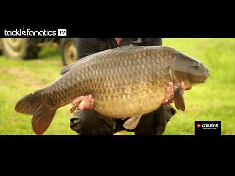 Tackle Fanatics TV – Greys Prodigy Apex Carp Rod Range 