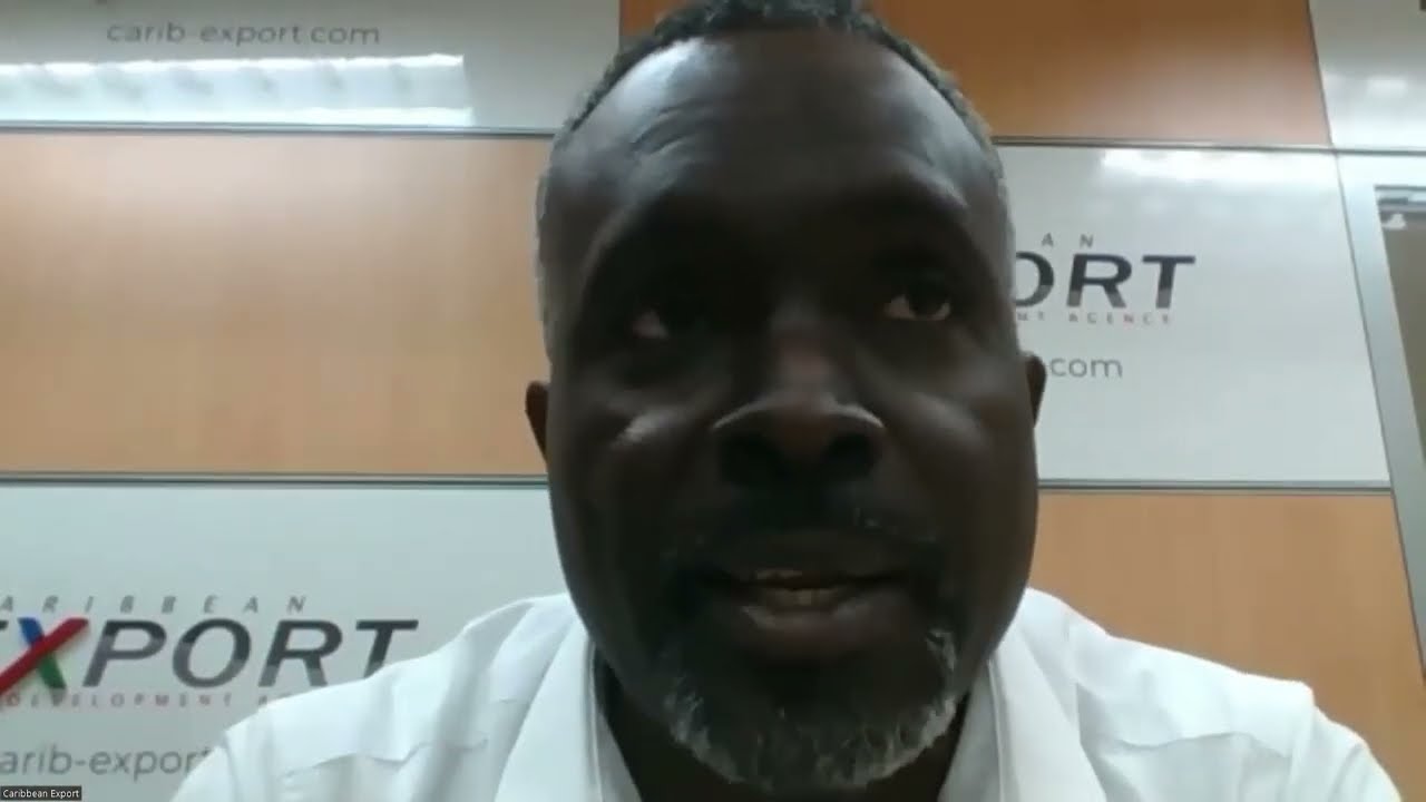 Virtual E-Commerce Accelerator Programme Information Session for Business Support Organisations