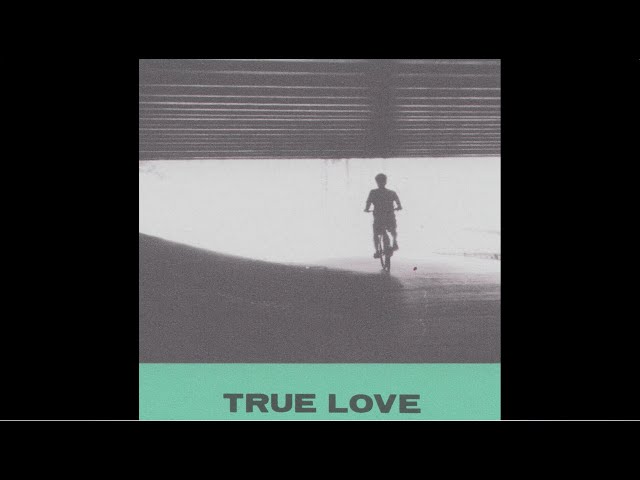 True Love - song and lyrics by Hovvdy